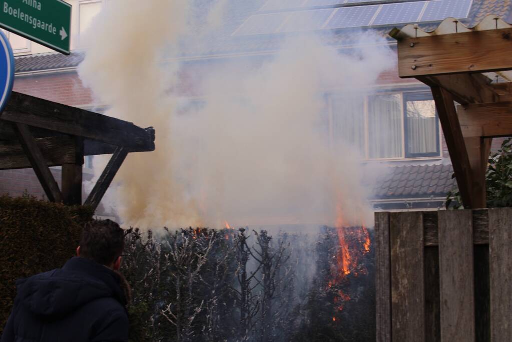 Brandweer blust brandende coniferenhaag