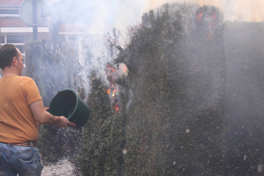 Brandweer blust brandende coniferenhaag
