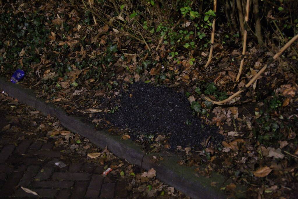 Schoorsteenbrand snel onder controle