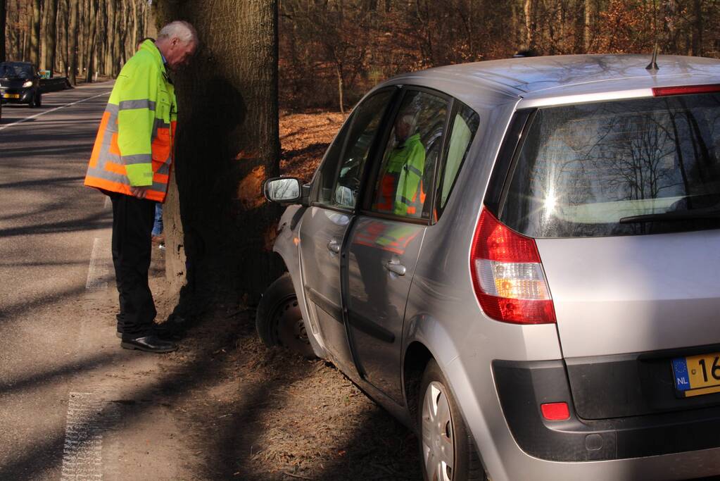 Auto tegen boom, bestuurder gewond