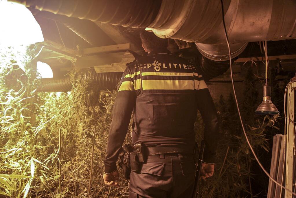 Ondergronds hennepkwekerij ontmanteld