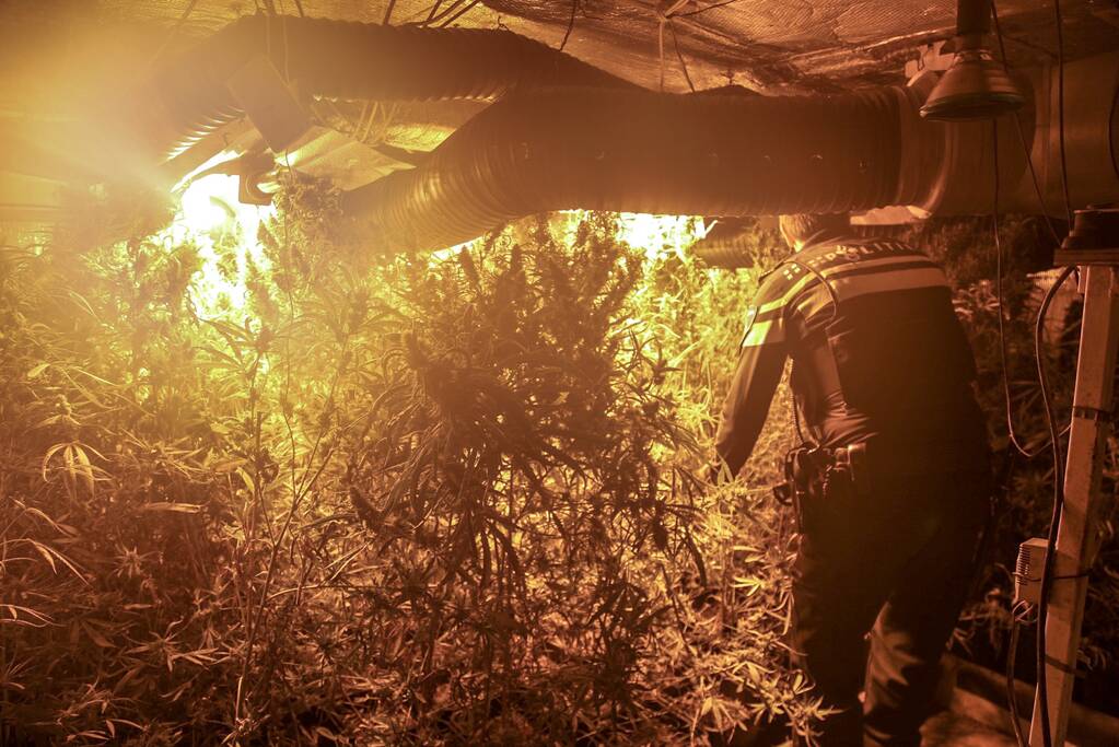 Ondergronds hennepkwekerij ontmanteld