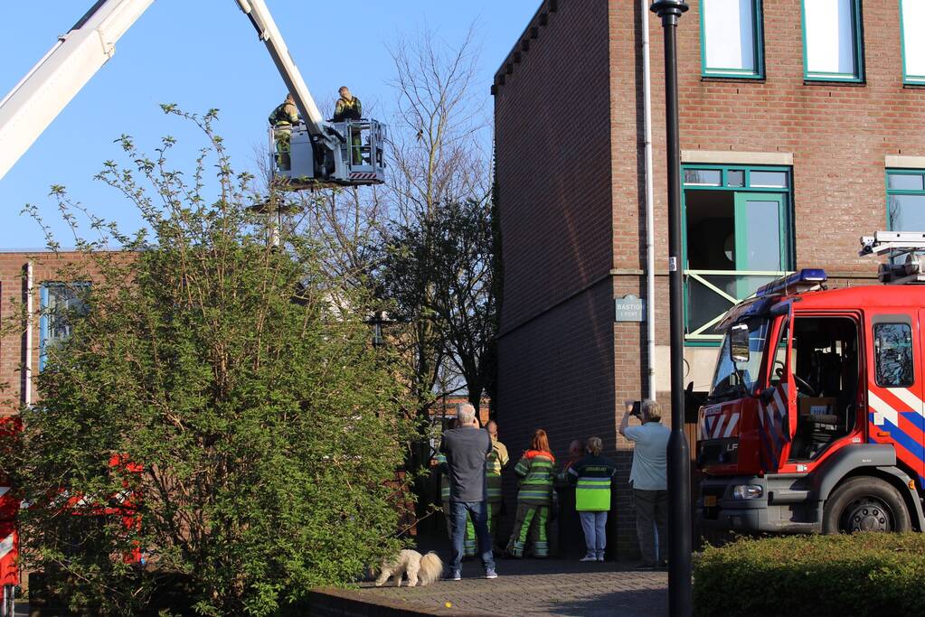 Brandweer bevrijdt ekster uit hoge boom