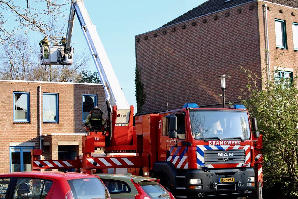 Brandweer bevrijdt ekster uit hoge boom
