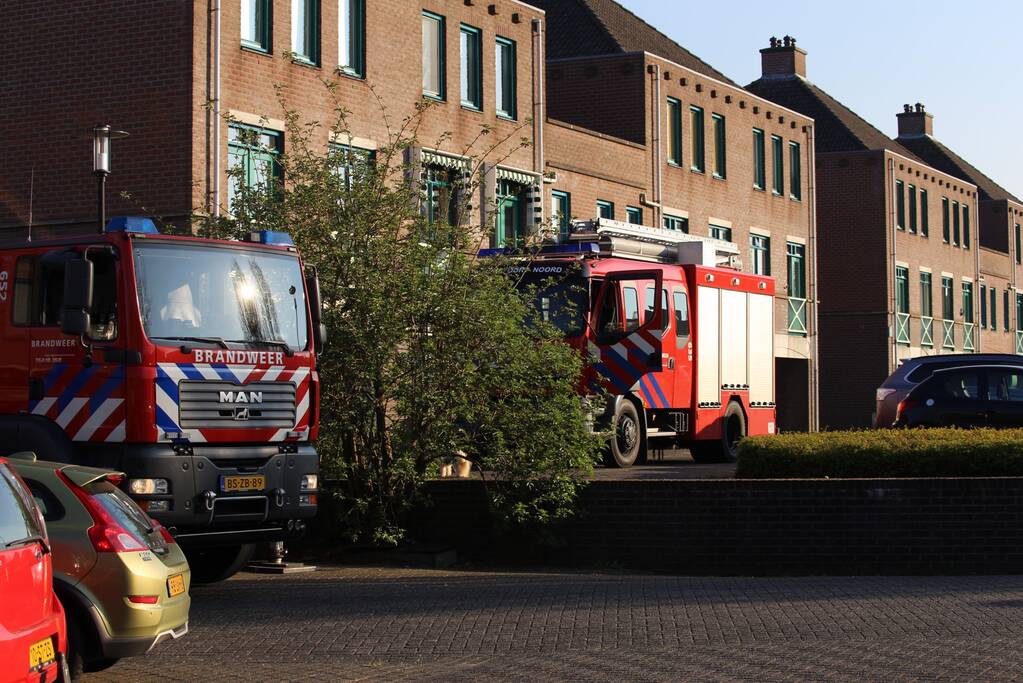 Brandweer bevrijdt ekster uit hoge boom