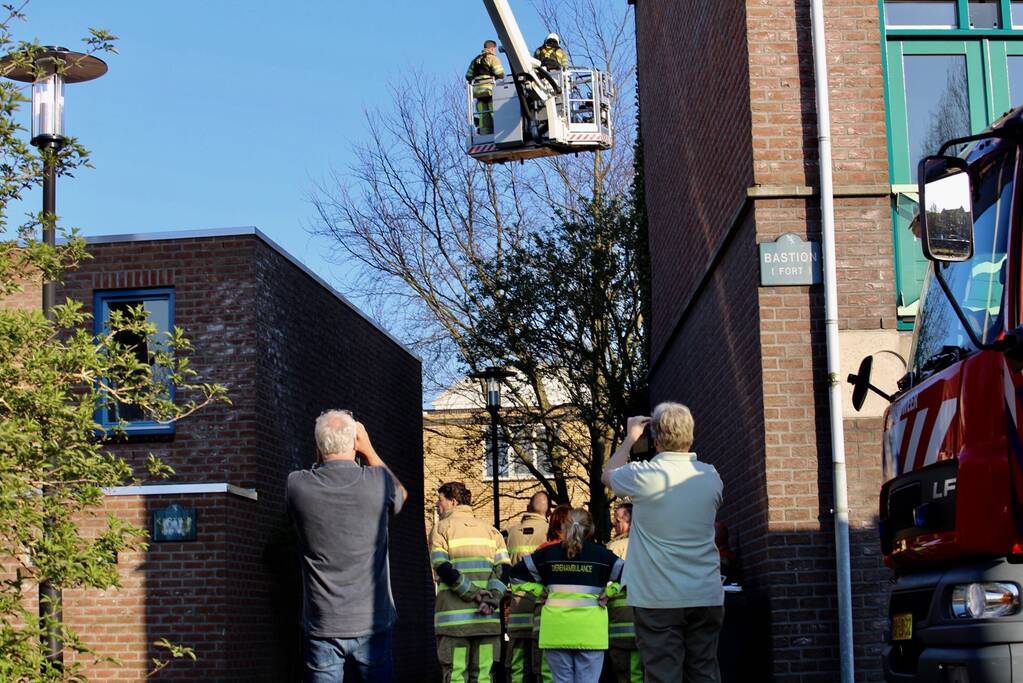 Brandweer bevrijdt ekster uit hoge boom