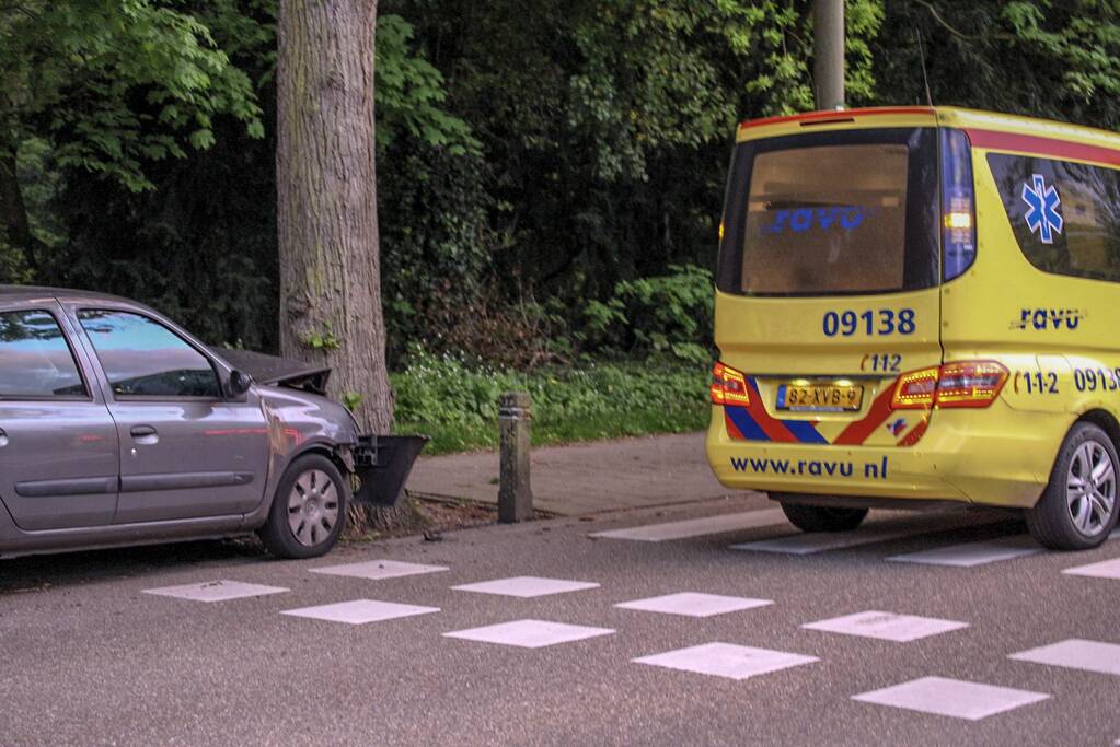 Auto botst frontaal op boom