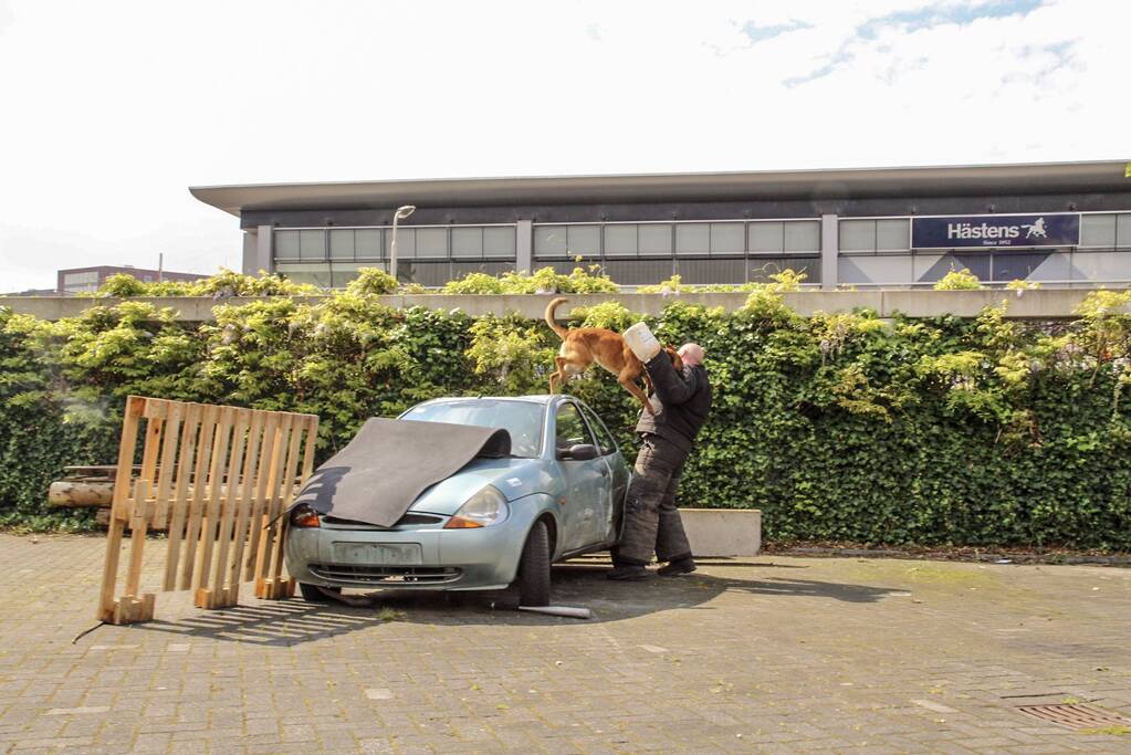 Burgemeester opent veilgheidsdag