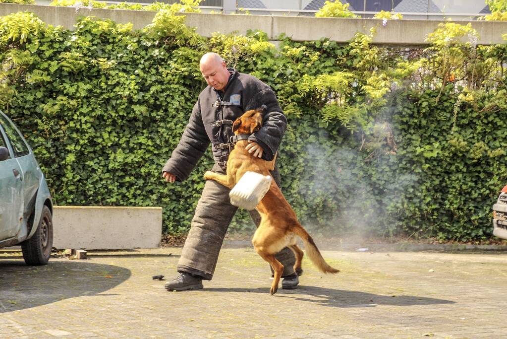 Burgemeester opent veilgheidsdag