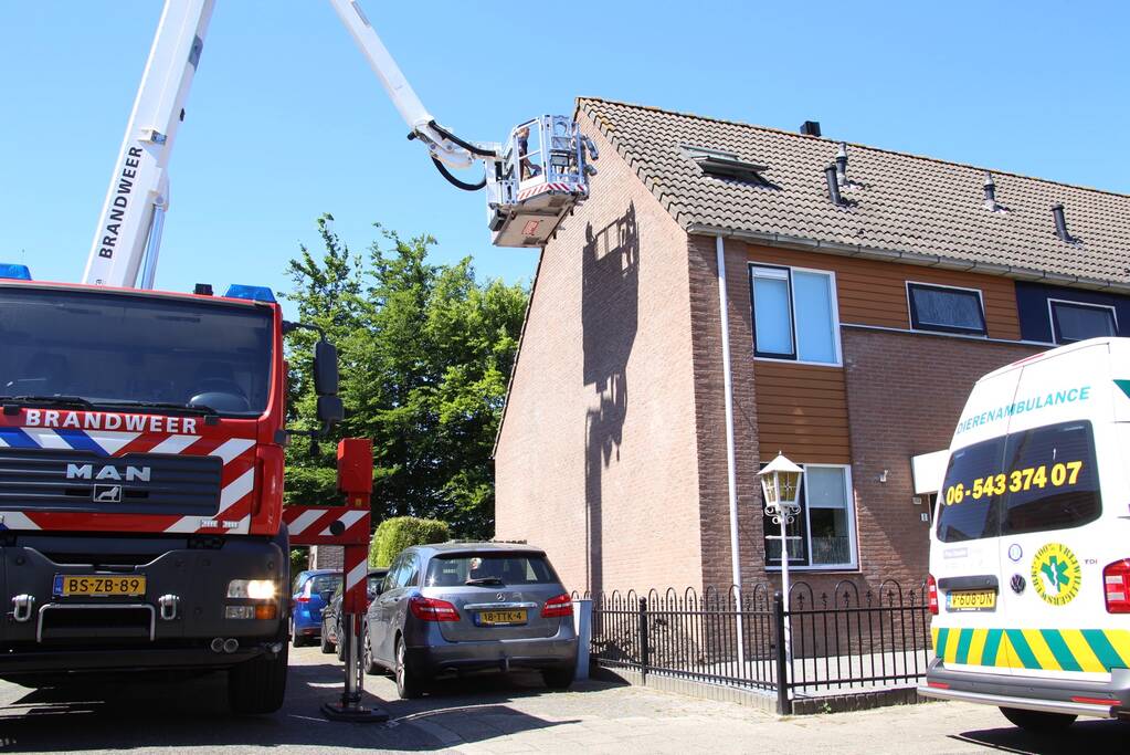 Vogel vast onder dakpan