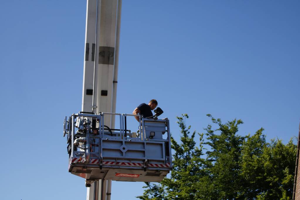 Vogel vast onder dakpan