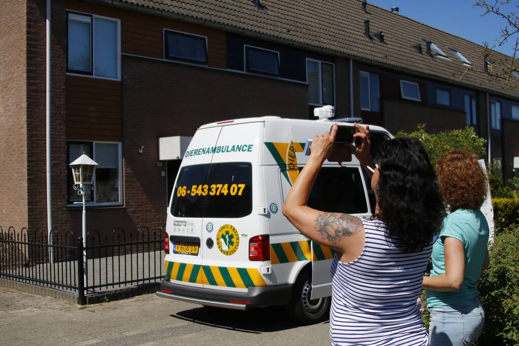 Vogel vast onder dakpan