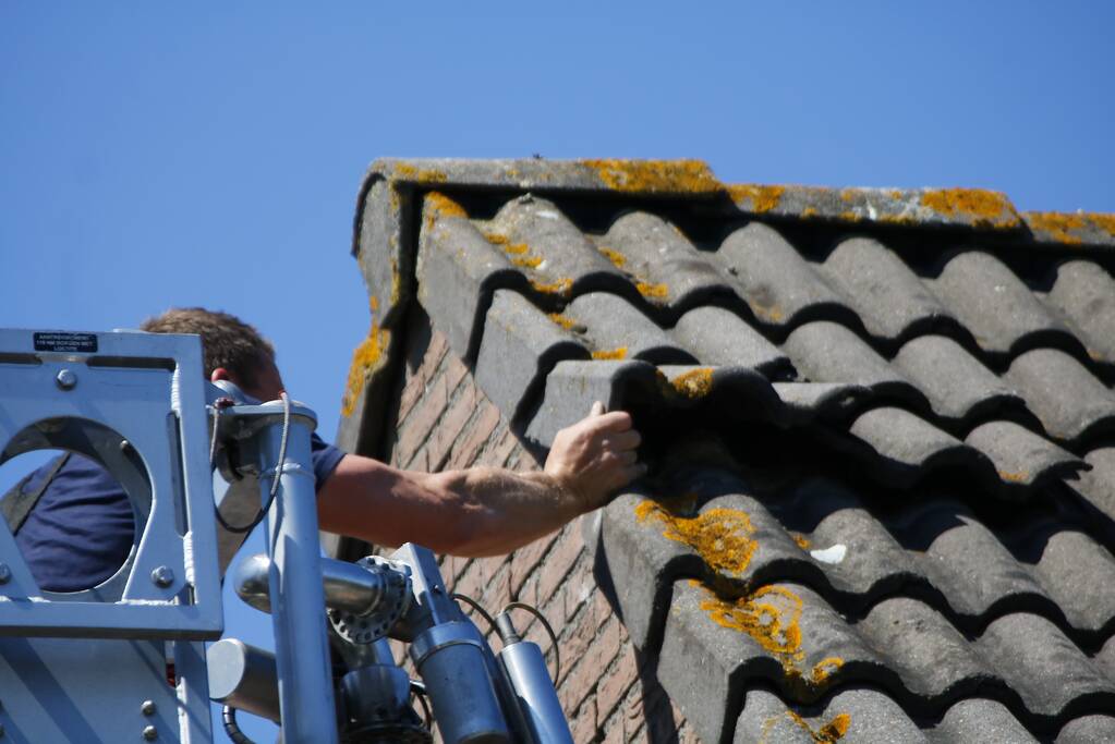 Vogel vast onder dakpan