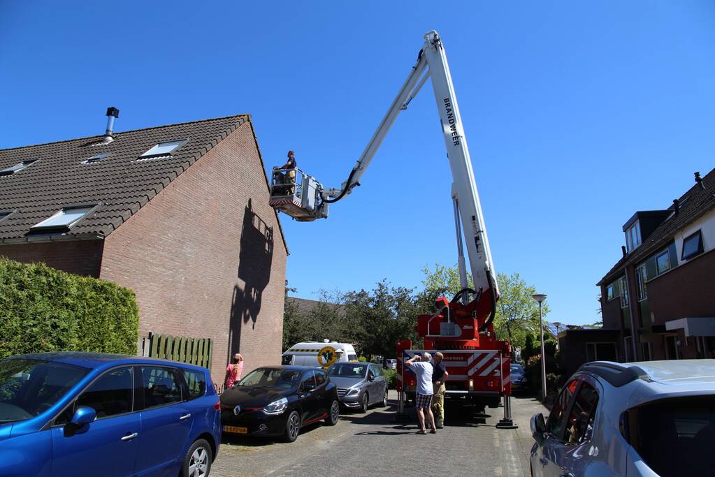 Vogel vast onder dakpan