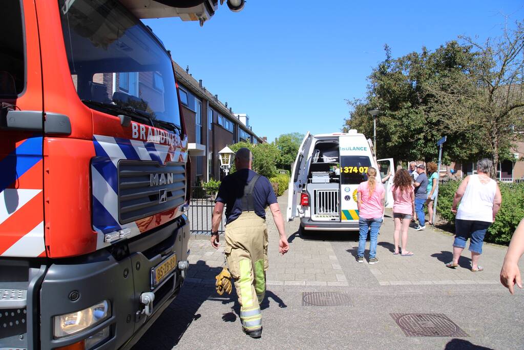 Vogel vast onder dakpan