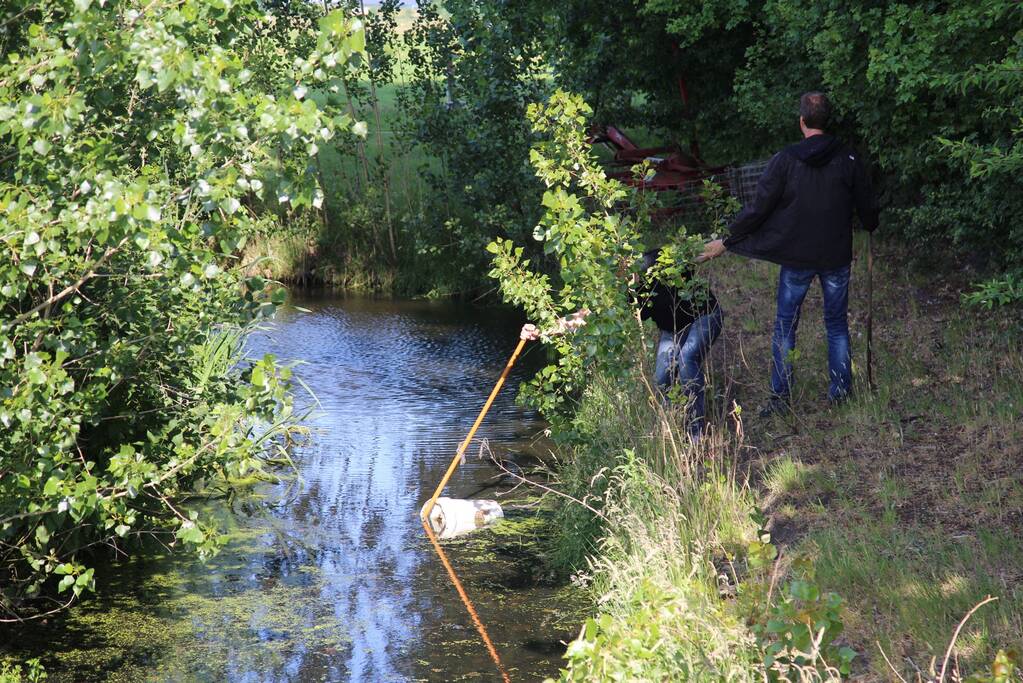 Grote zoektocht naar vermiste Savannah