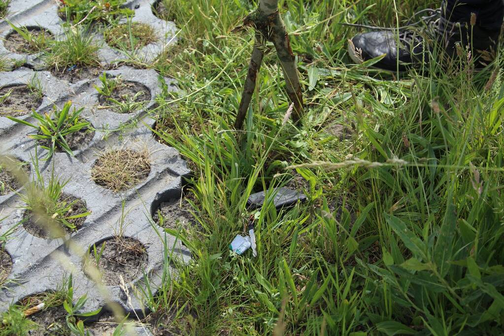 Grote zoektocht naar vermiste Savannah