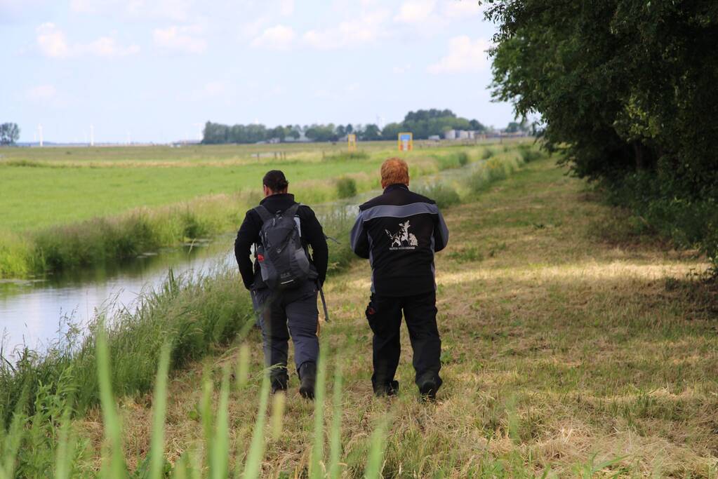 Grote zoektocht naar vermiste Savannah