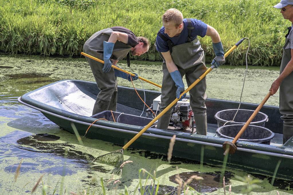 Sloot drooggelegd voor sporenonderzoek dood Savannah