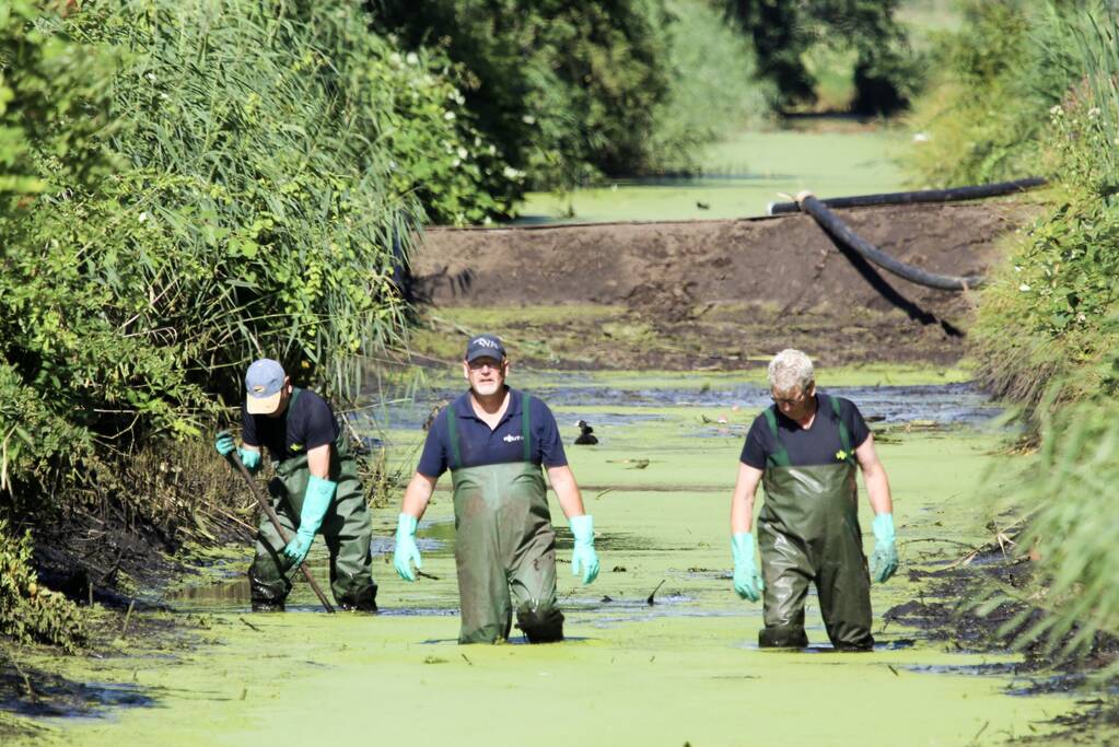 Onderzoek gestart in drooggelegde sloot
