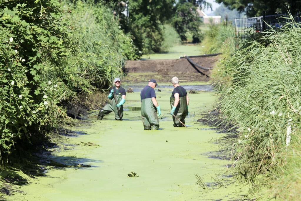 Onderzoek gestart in drooggelegde sloot