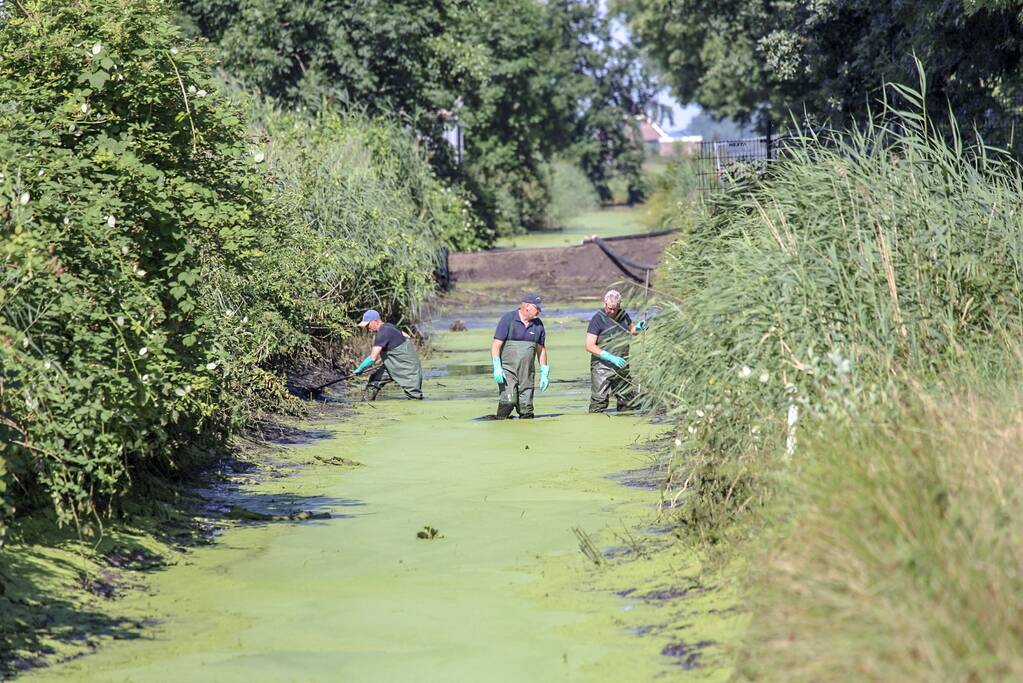 Onderzoek gestart in drooggelegde sloot