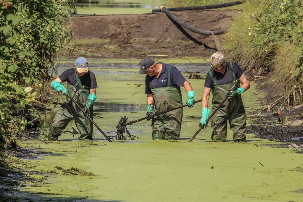 Onderzoek gestart in drooggelegde sloot