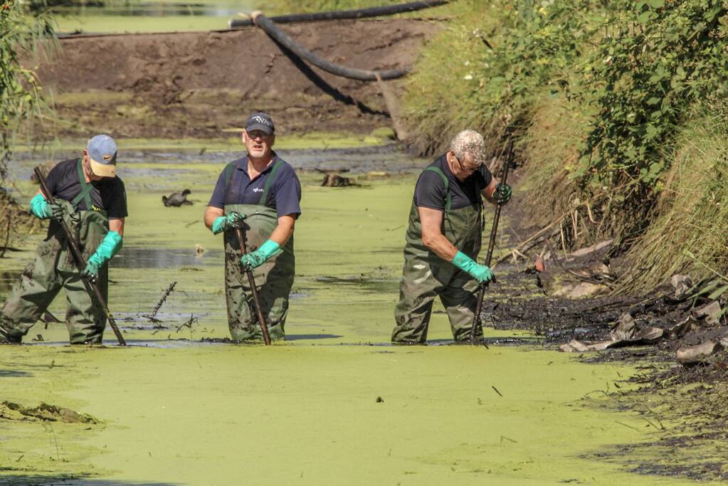 Onderzoek gestart in drooggelegde sloot