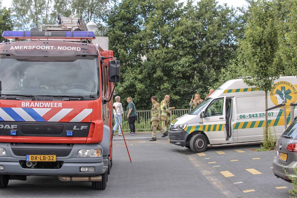 Jonge zwaan vast met dobber en vishaak