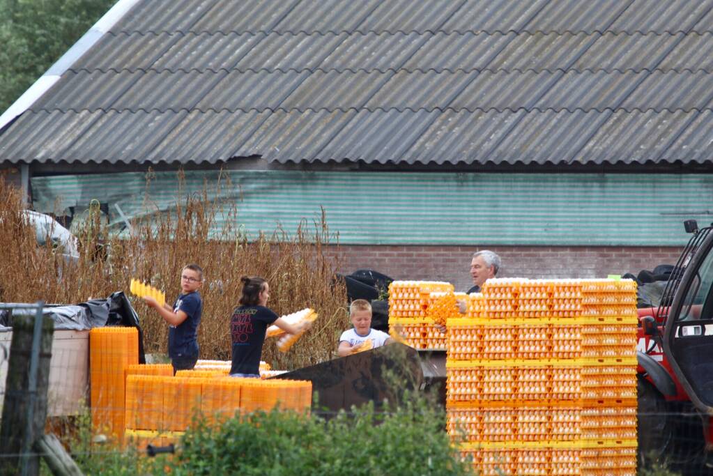 14 kippenboeren met fipronil melden zich