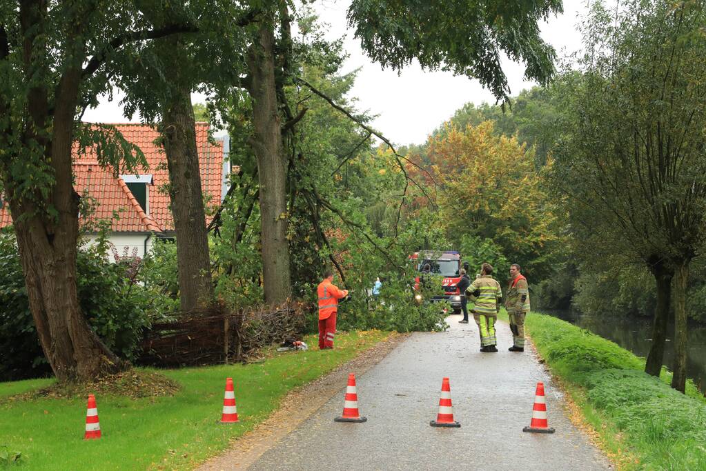 Weg afgesloten door vallende takken