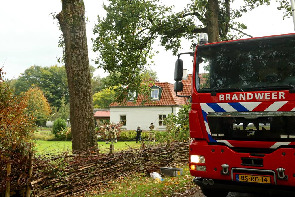 Weg afgesloten door vallende takken