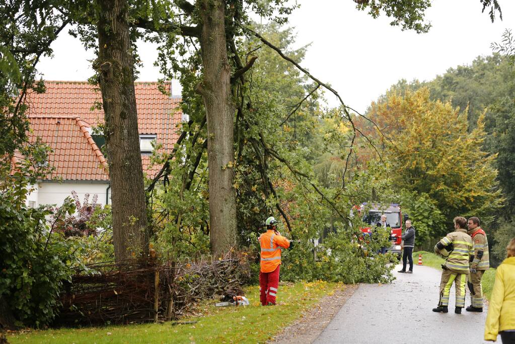 Weg afgesloten door vallende takken