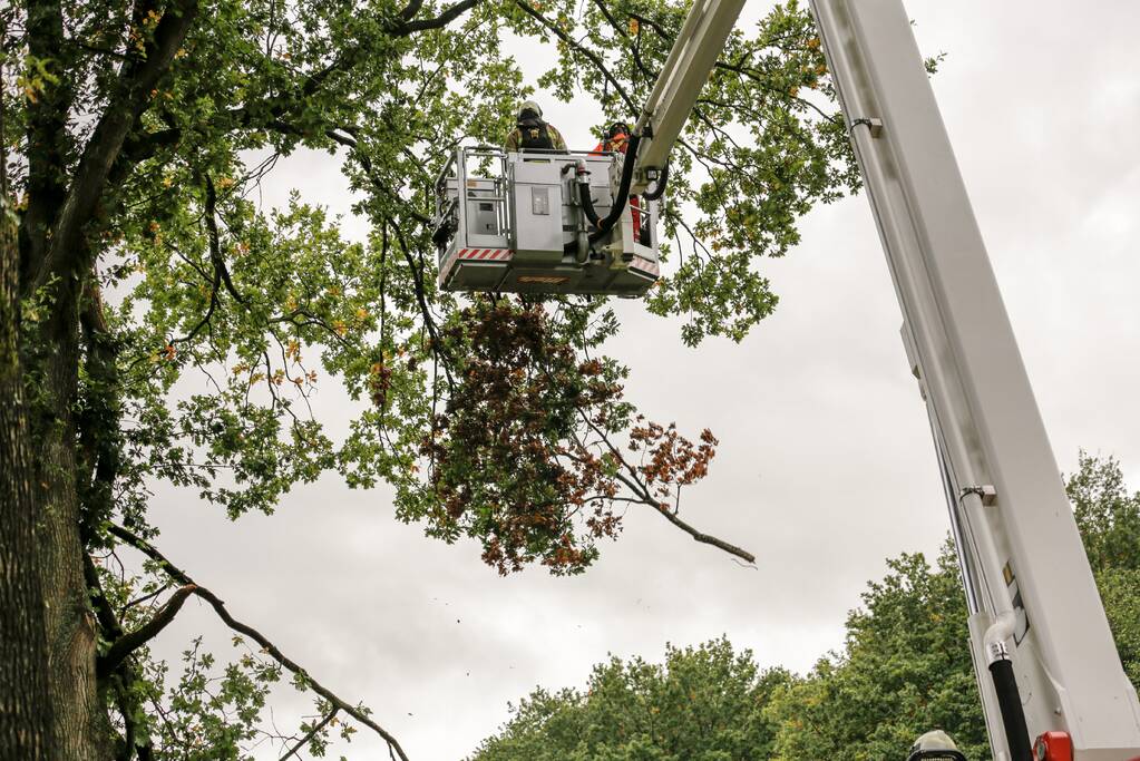 Weg afgesloten door vallende takken