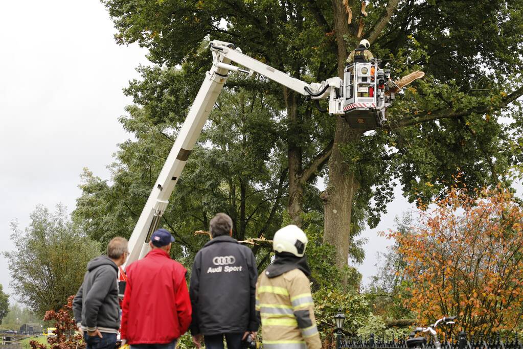 Weg afgesloten door vallende takken