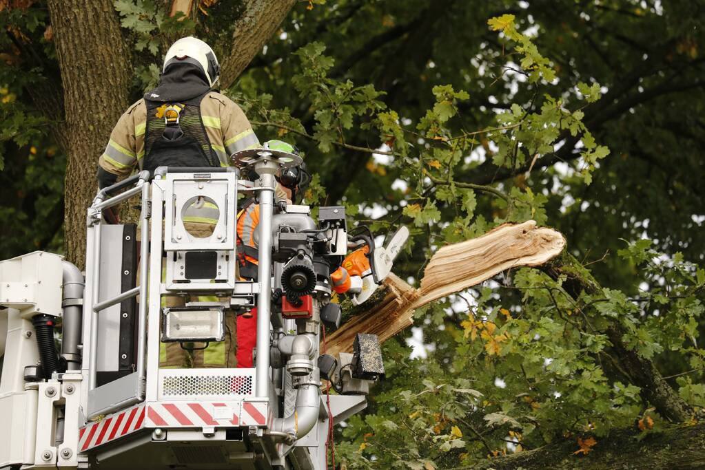 Weg afgesloten door vallende takken