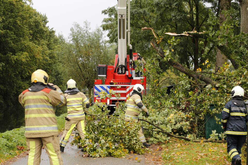 Weg afgesloten door vallende takken