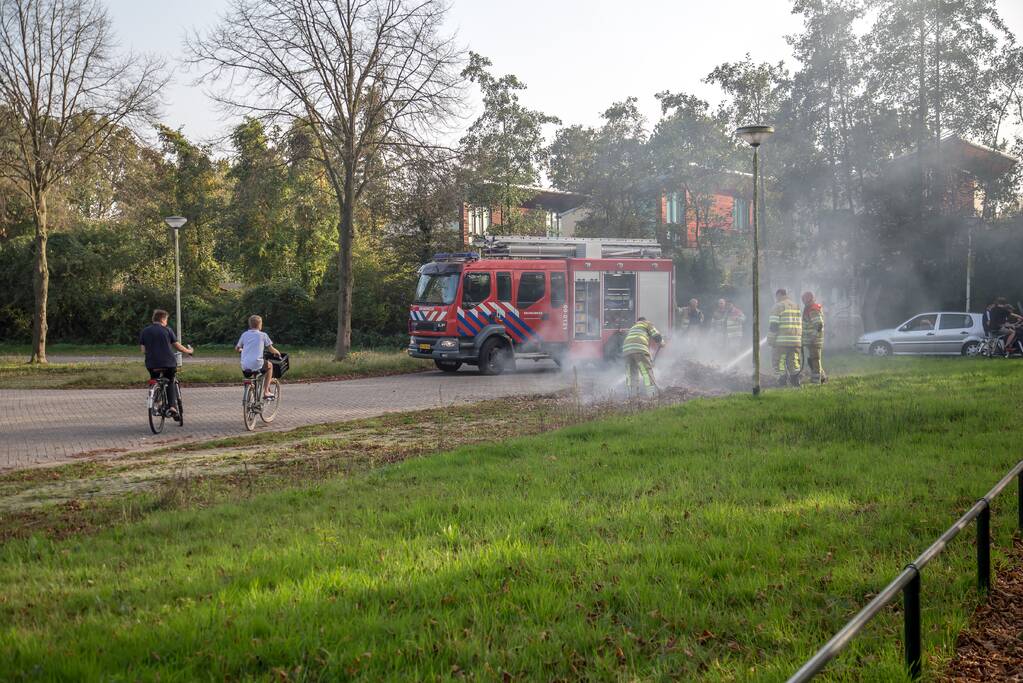 Flinke rook bij bladeren-brand
