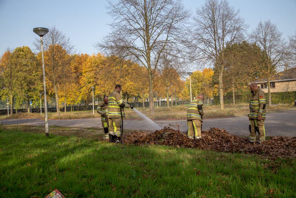 Flinke rook bij bladeren-brand
