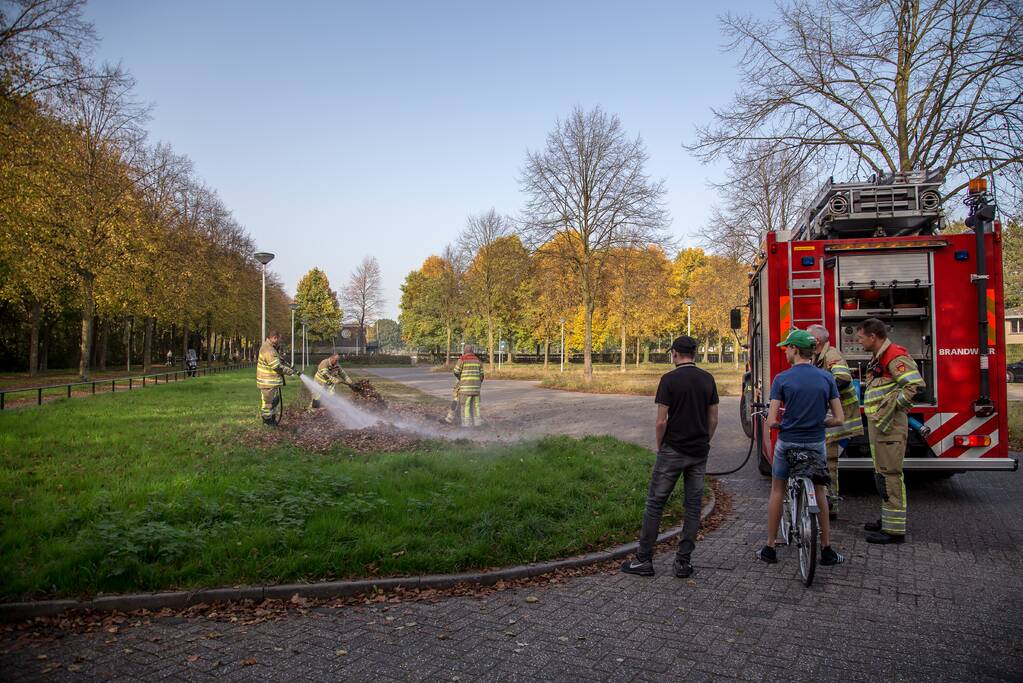 Flinke rook bij bladeren-brand