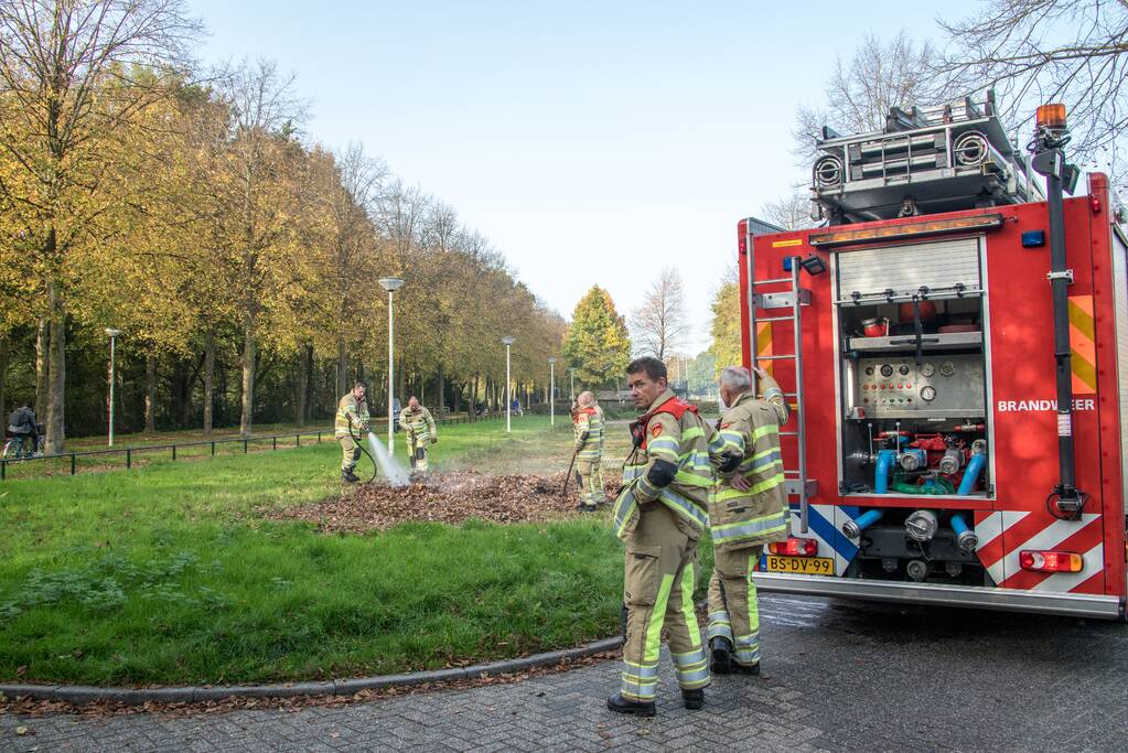 Flinke rook bij bladeren-brand