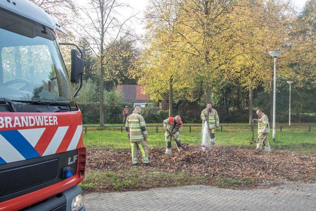 Flinke rook bij bladeren-brand