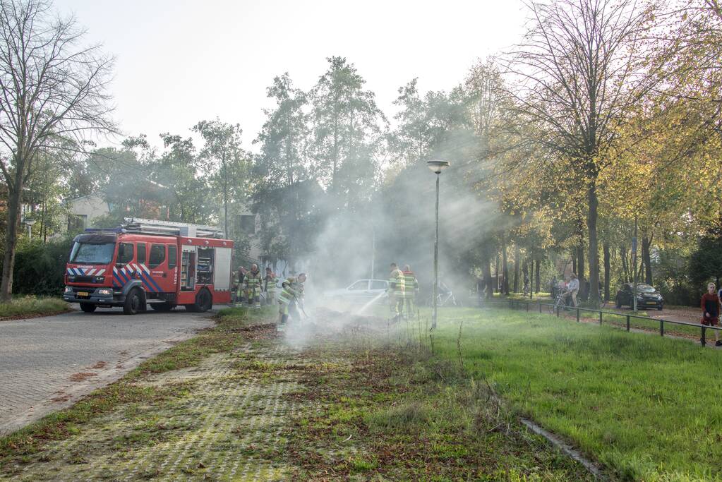 Flinke rook bij bladeren-brand