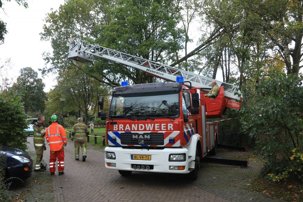Deel van boom breekt af na storm