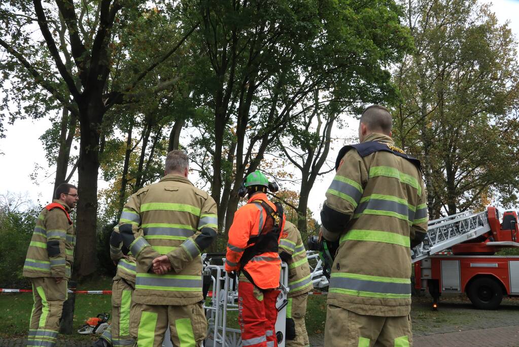 Deel van boom breekt af na storm