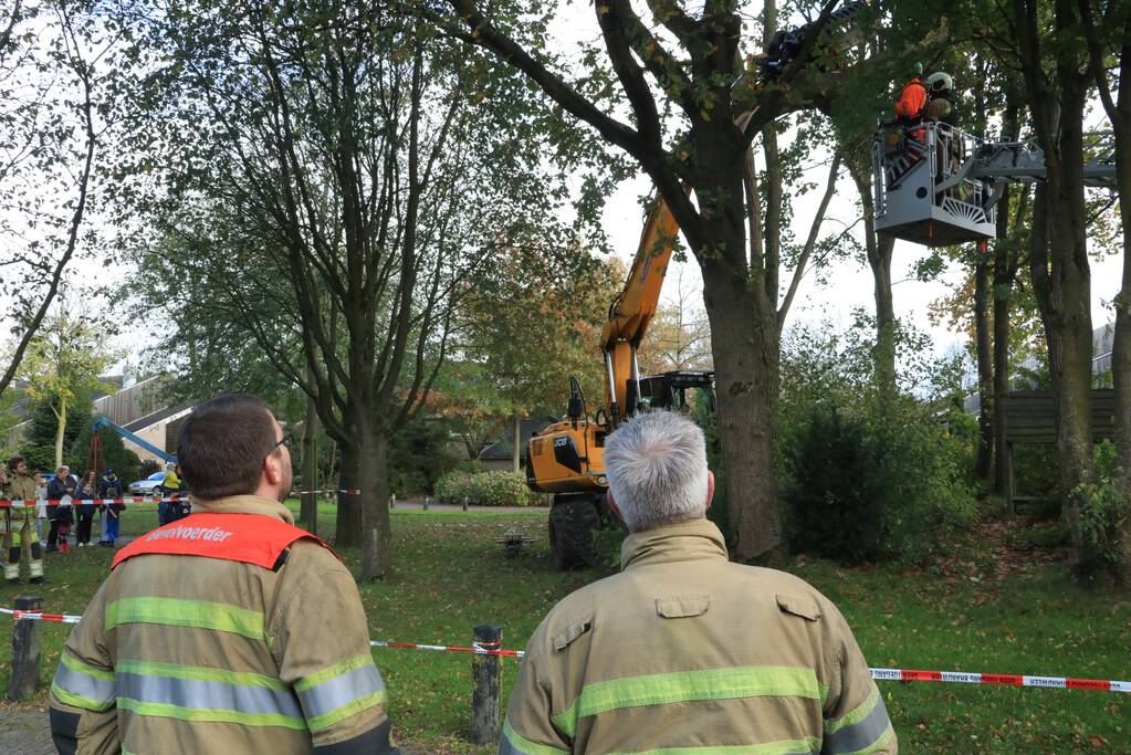Deel van boom breekt af na storm