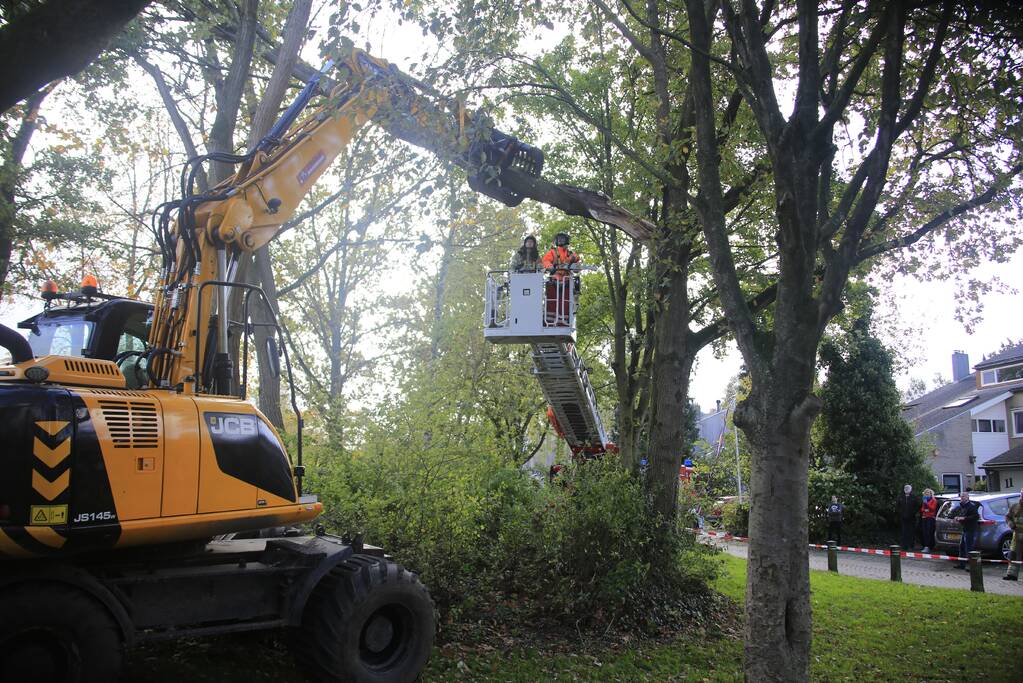 Deel van boom breekt af na storm