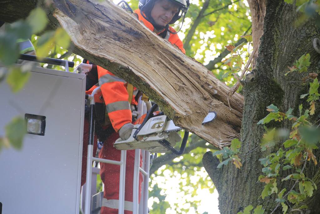 Deel van boom breekt af na storm