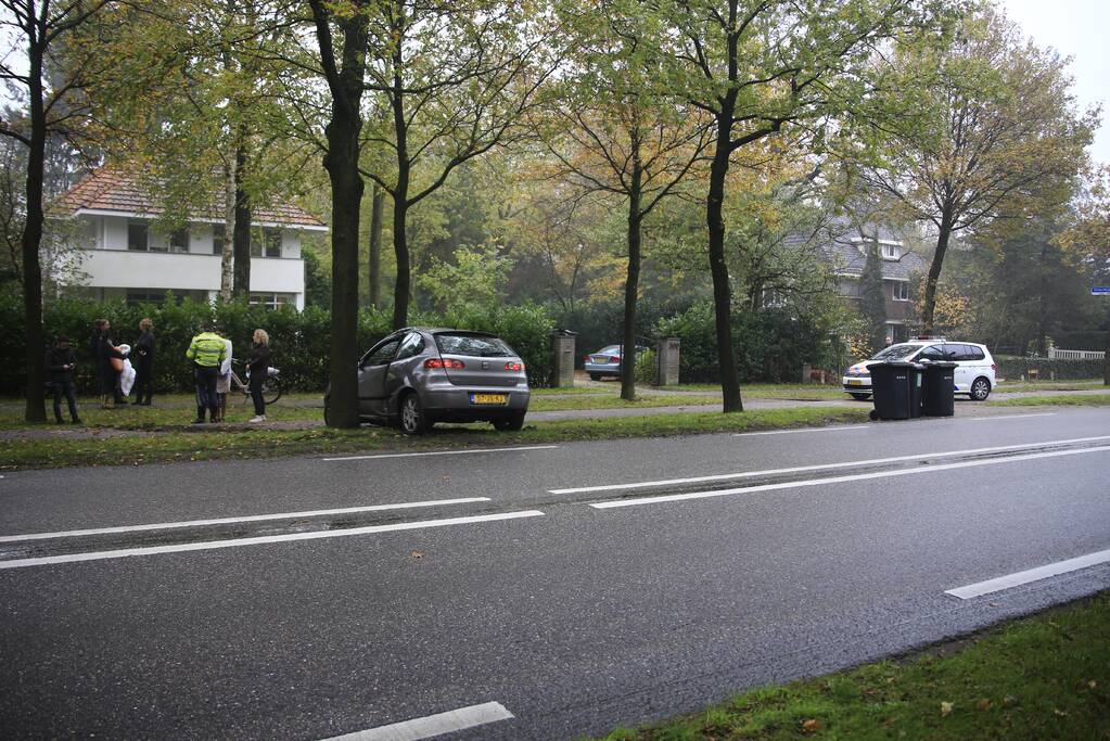 Automobilist gewond na botsing tegen boom