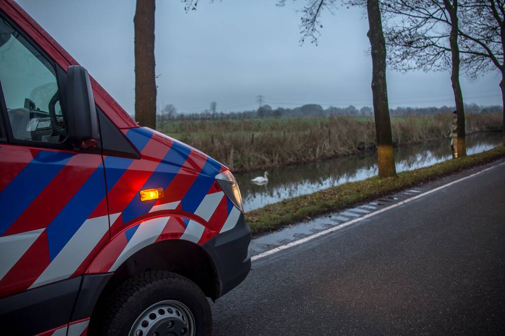Brandweer en Dierenzorg Eemland redden gewonde zwaan